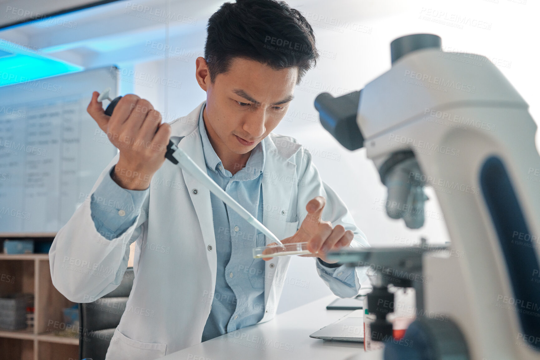 Buy stock photo Asian man, scientist and pipette in petri dish at laboratory for scientific research and investigation. Male person, medical specialist and experiment with chemicals for virus or vaccine for bacteria