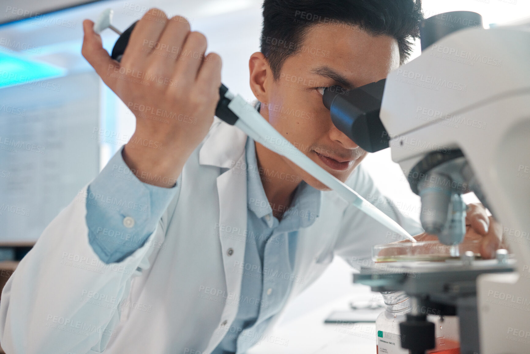 Buy stock photo Asian man, scientist and pipette in petri dish in microscope at laboratory for scientific research and investigation. Male person, medical specialist and experiment with chemicals, virus and bacteria