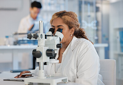 Buy stock photo Science, research and microscope with a woman at work in a laboratory for innovation or investigation. Healthcare, medical and experiment with a female scientist working in a lab for pharmaceuticals