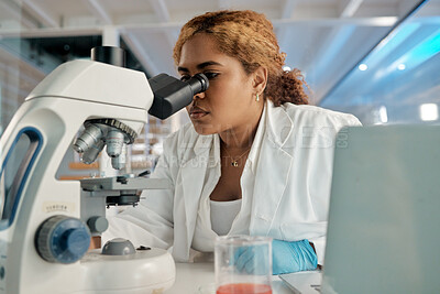Buy stock photo Science, healthcare and microscope with a woman at work in a laboratory for research or innovation. Investigation, medical and development with a female scientist working in a lab for pharmaceuticals