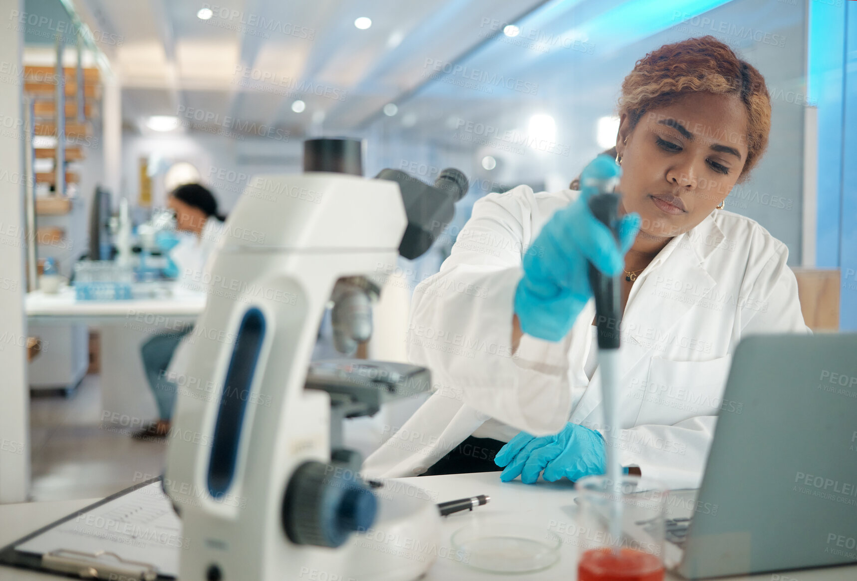 Buy stock photo Scientist, pipette and petri dish in lab for experiment, biotechnology or healthcare vaccine development. Woman, science and chemistry study for stem cell, genes editing and microbiome research