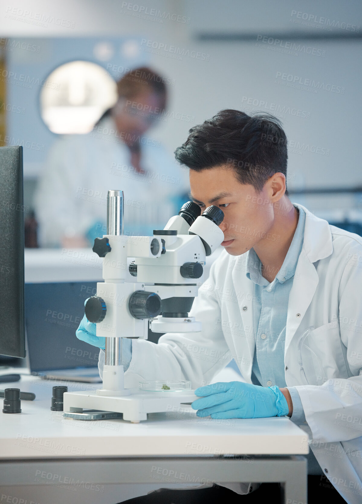 Buy stock photo Asian man, science and microscope at laboratory for scientific research, trial and investigation. Male person, scientist and experiment in microbiology for virus, germs and bacteria for pandemic