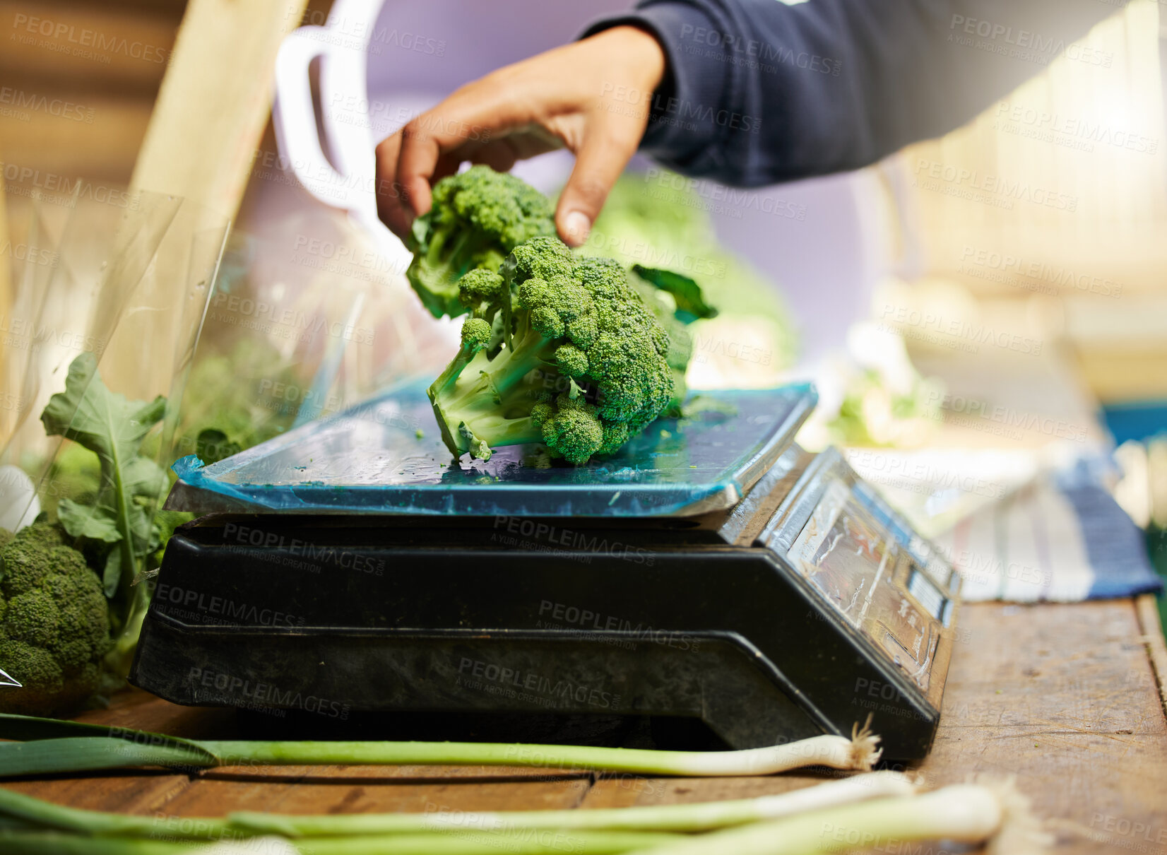 Buy stock photo Agriculture, broccoli and scale with hand of person for quality inspection, sustainability or growth. Grocery, farming and climate resilient crops with vegetables for food security and environment