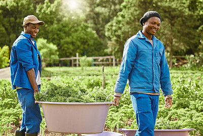 Buy stock photo Black people, men and worker with crops on farm for harvest produce, manufacturing and small business. Teamwork, happy and bucket with raw vegetables for nutrition, sustainability and organic food