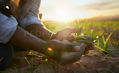 Buy stock photo Farmer, sustainability and hands with soil and plant in countryside and farm with agriculture. Gardening, sustainable plants and dirt on lands with farming worker by grass field with eco friendly job