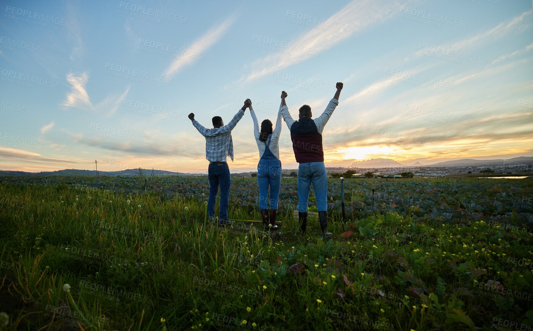 Buy stock photo Shot of three farmers standing on a farm during sunset