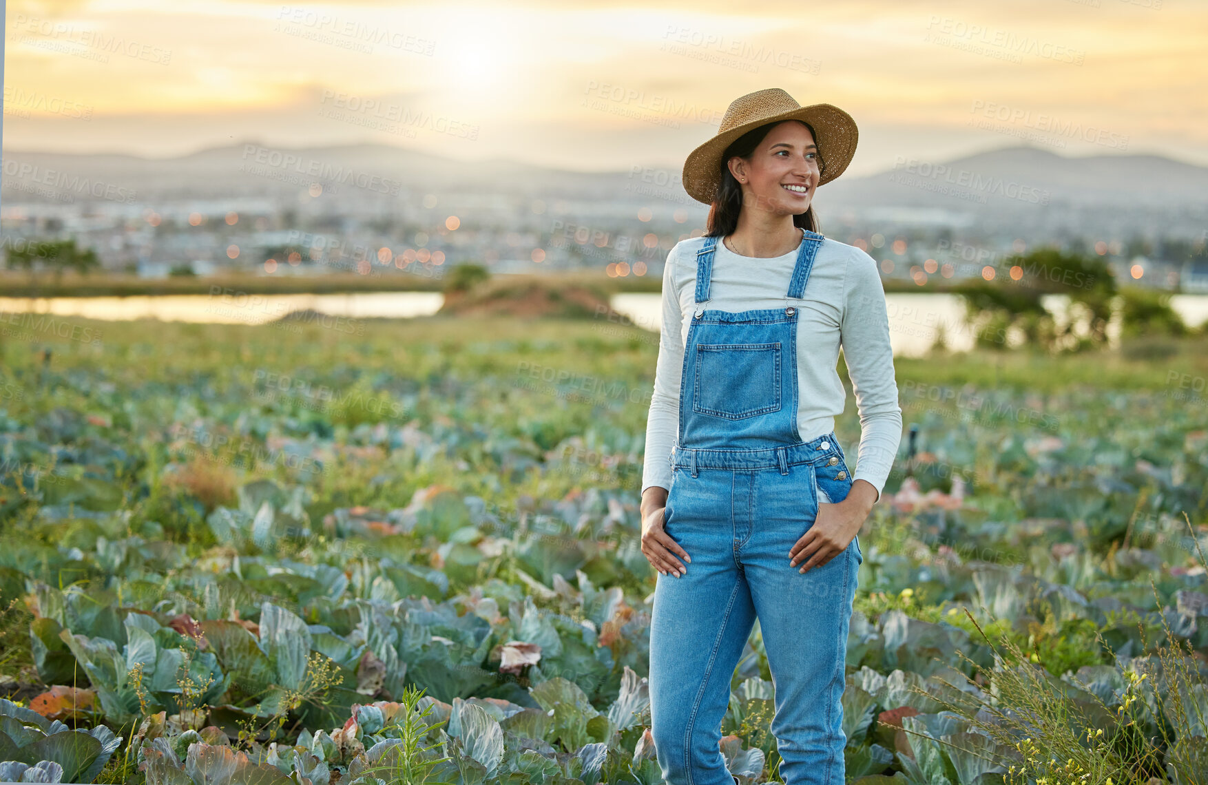 Buy stock photo Agriculture, plant and thinking with woman for quality inspection, sustainability and growth. Horticulture, farm and field with person in countryside for food security, ecology and environment