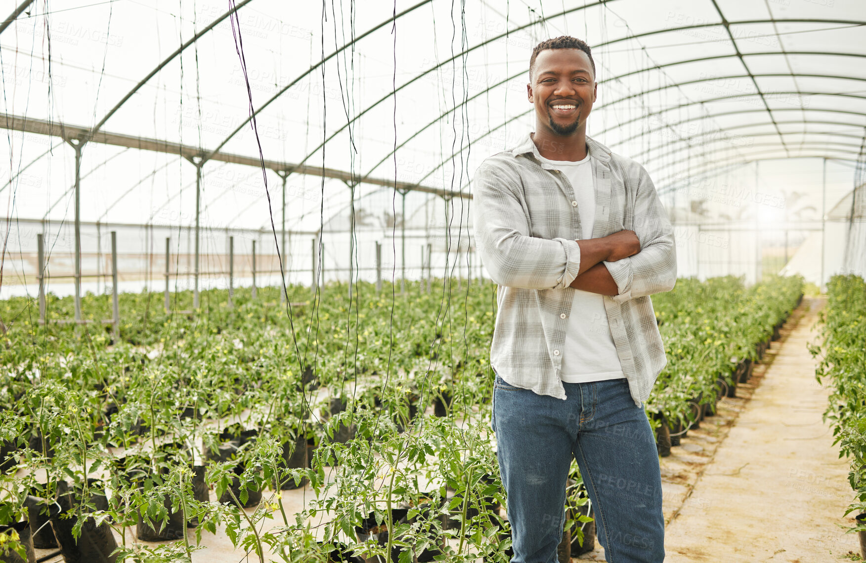 Buy stock photo Greenhouse, black man and portrait with arms crossed for farming, inspection and sustainability for growth. Countryside, male person or farmer with plants for gardening, organic progress and pride