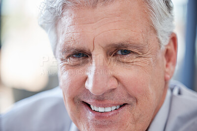 Buy stock photo Portrait of a mature businessman in an office