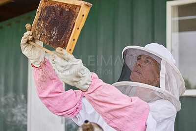 Buy stock photo Shot of a woman working with a hive frame on a farm