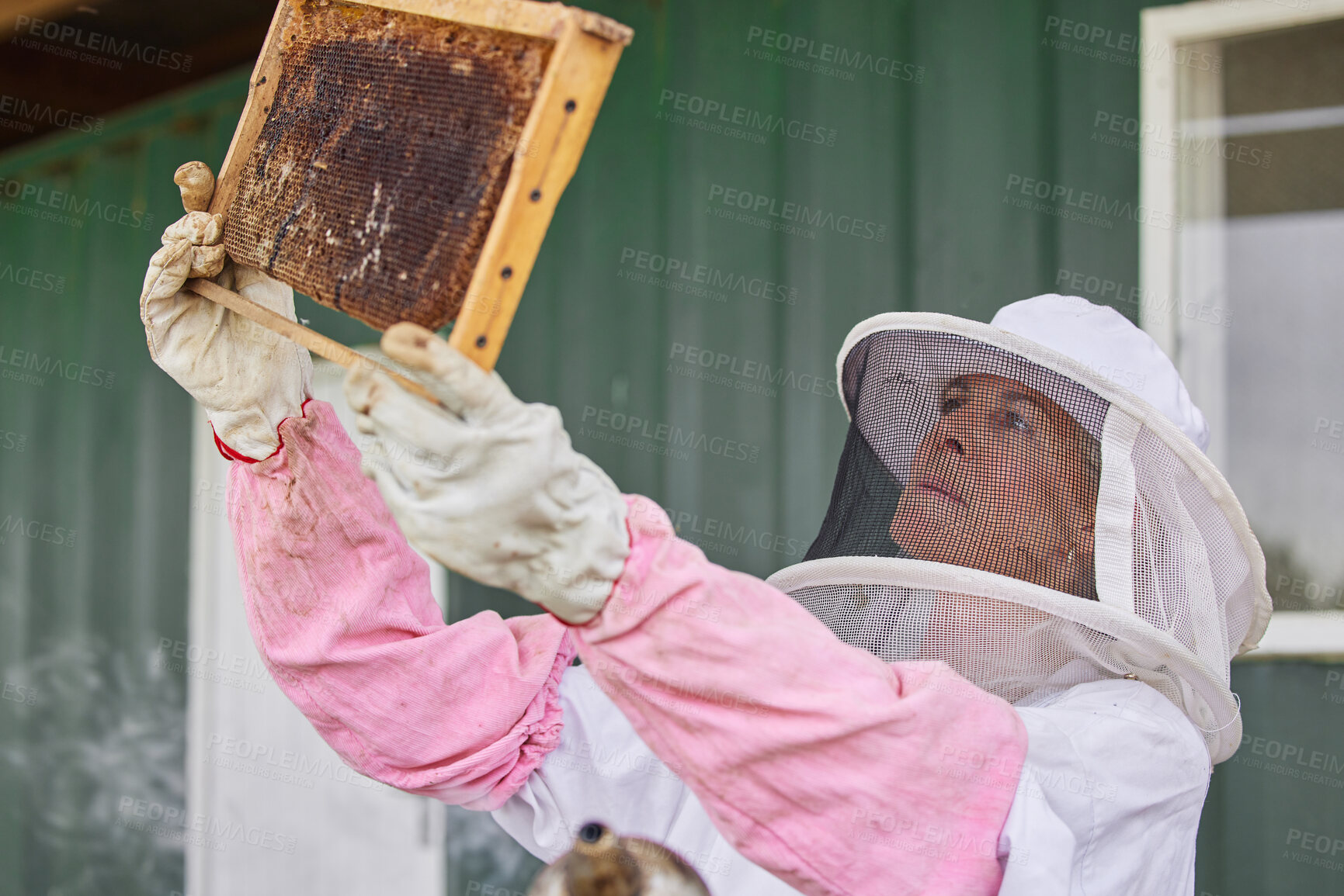 Buy stock photo Shot of a woman working with a hive frame on a farm