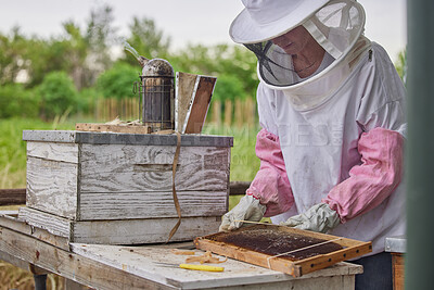 Buy stock photo Shot of a woman working with a hive frame on a farm