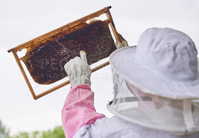 Buy stock photo Shot of a woman working with a hive frame on a farm