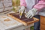 Beekeeping is liquid gold but it's hard work