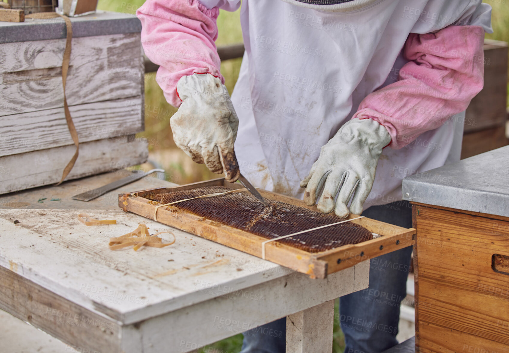 Buy stock photo Shot of a woman working with a hive frame on a farm