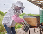 I own a farm which means I'm quite a busy bee