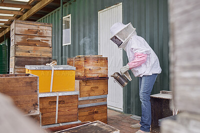 Buy stock photo Shot of a beekeeper using a bee smoker while working on a farm