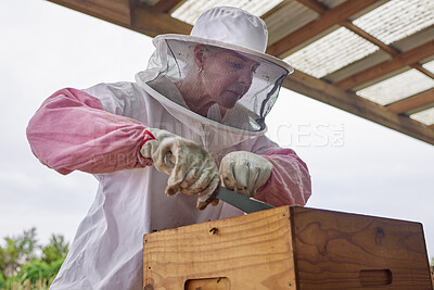 Buy stock photo Shot of a beekeeper opening a hive frame on a farm