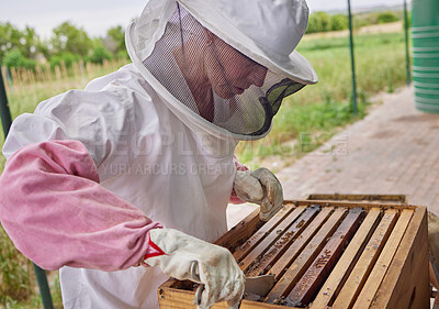 Buy stock photo Shot of a beekeeper opening a hive frame on a farm