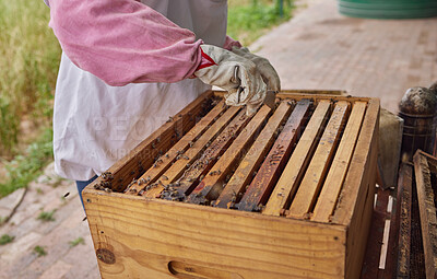 Buy stock photo Shot of a beekeeper opening a hive frame on a farm