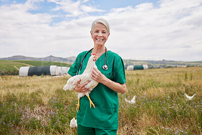 Buy stock photo Portrait of a mature veterinarian holding a chicken on a poultry farm