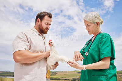 Buy stock photo Shot of a veterinarian having a discussion with a man on a poultry farm