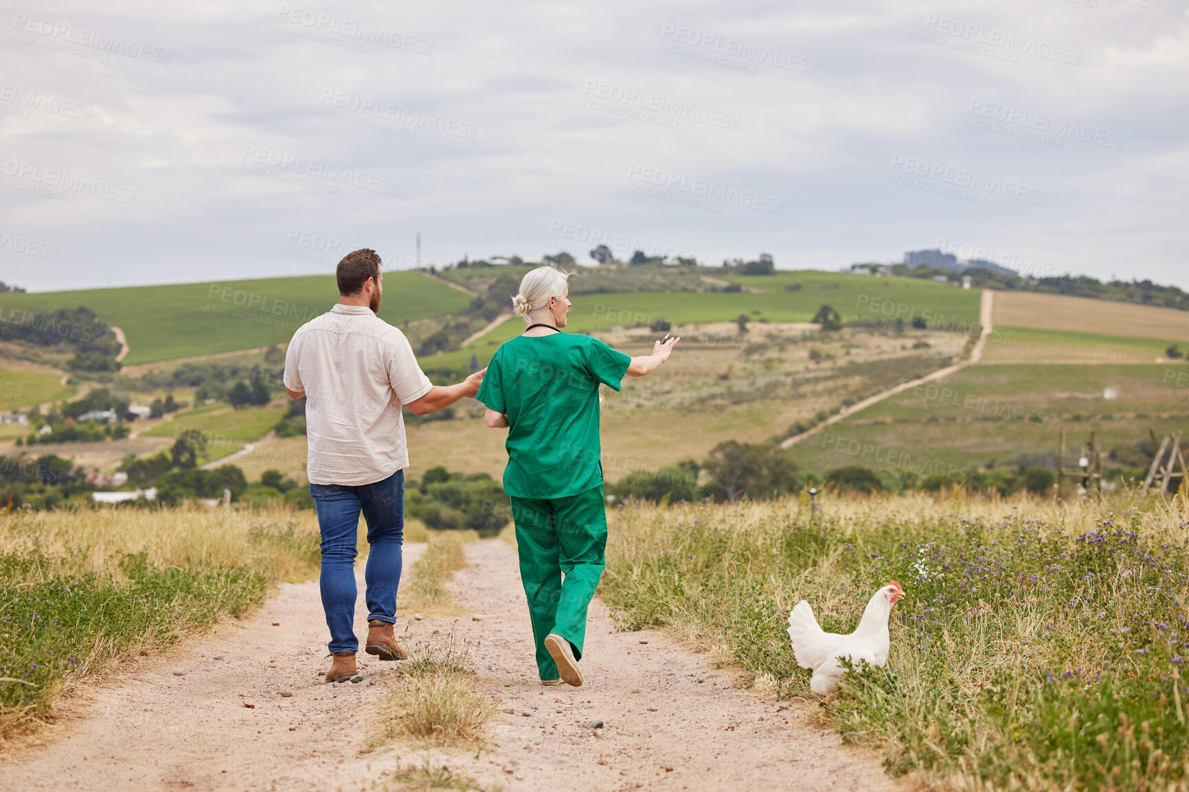 Buy stock photo Rearview shot of a man having a discussion with a veterinarian on a poultry farm