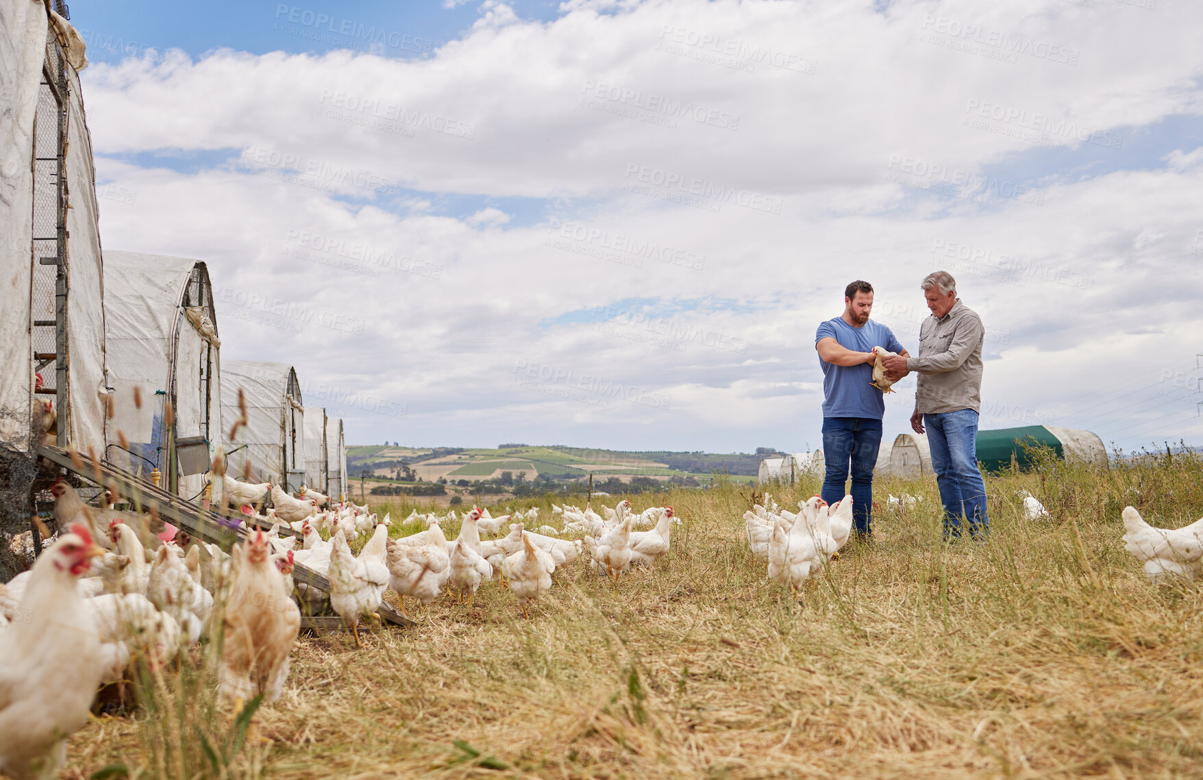 Buy stock photo Shot of two men working together on a poultry farm