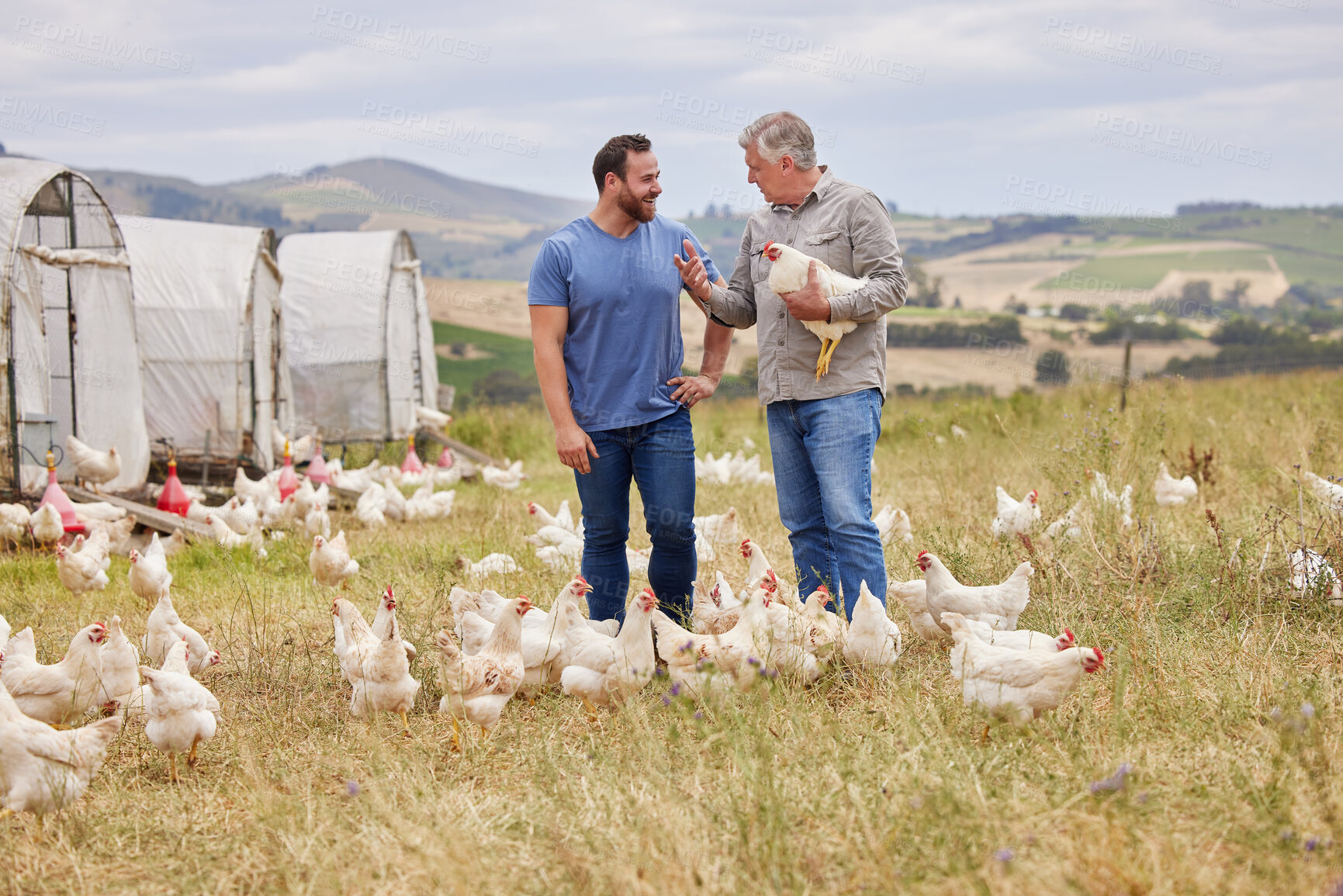 Buy stock photo Shot of two men working together on a poultry farm