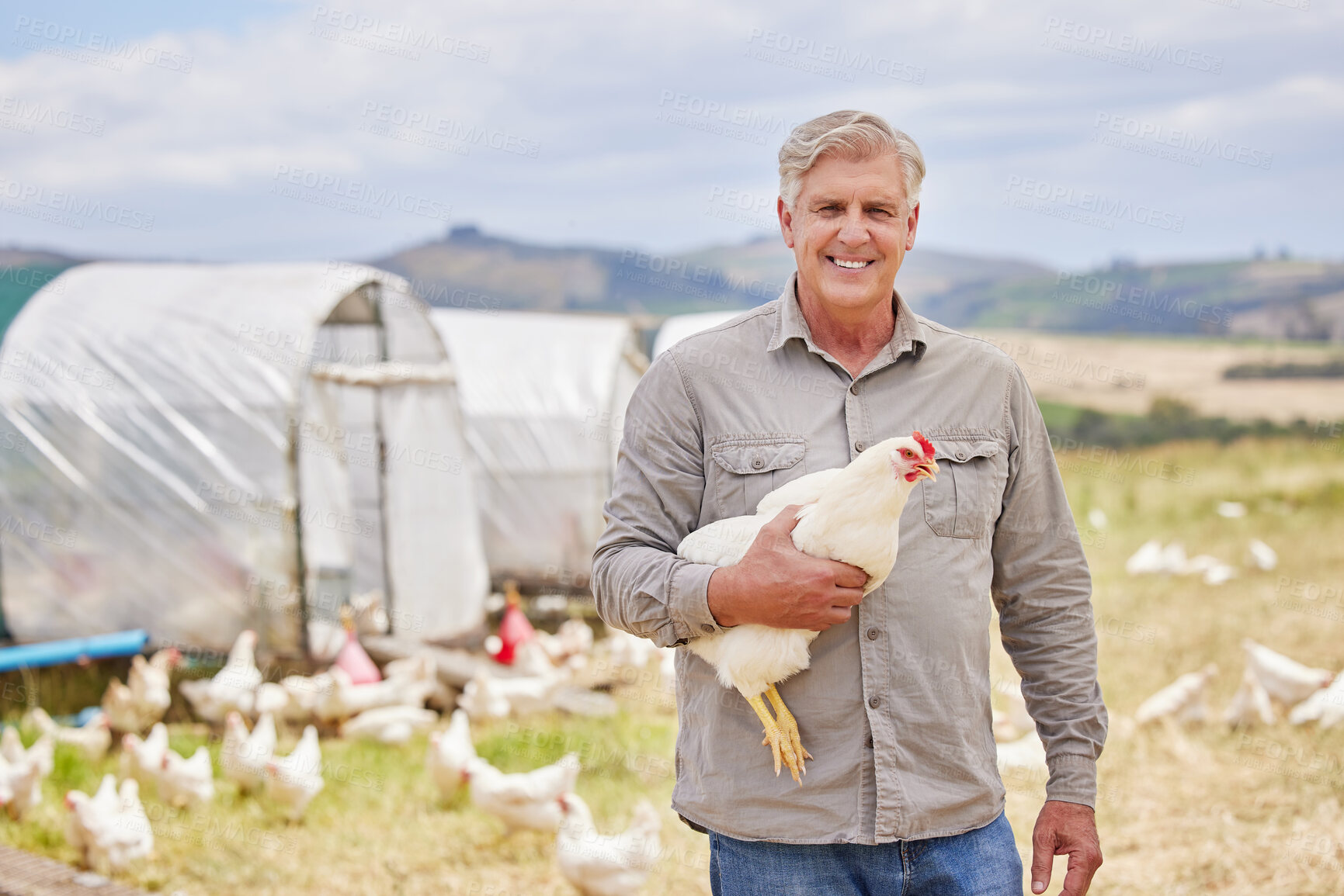 Buy stock photo Portrait of a mature man working on a poultry farm