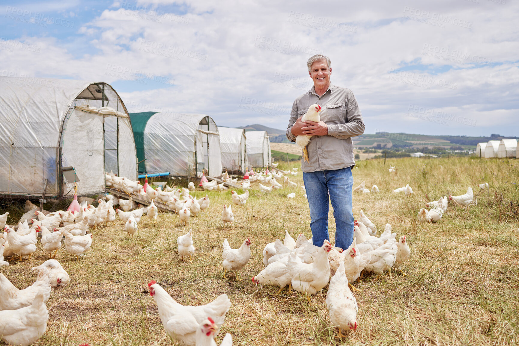 Buy stock photo Portrait of a mature man working on a poultry farm