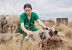 Vets enjoy the satisfaction that comes with getting to know a farm and its animals
