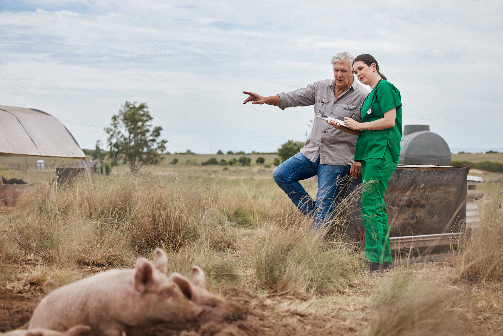 Buy stock photo Shot of a veterinarian talking to a mature man on his farm