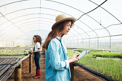 Buy stock photo Cropped shot of an attractive young woman using a tablet while working in a greenhouse on a farm