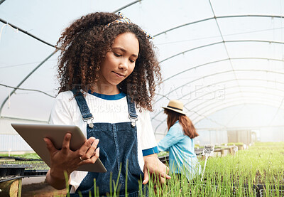 Buy stock photo Cropped shot of an attractive young woman using a tablet while working in a greenhouse on a farm