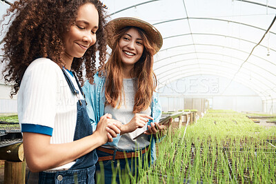 Buy stock photo Cropped shot of two attractive young women using a tablet while working in a greenhouse on a farm