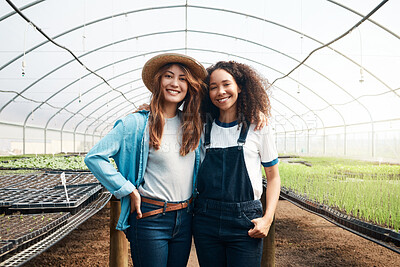 Buy stock photo Cropped portrait of two attractive young woman standing in a greenhouse on a farm