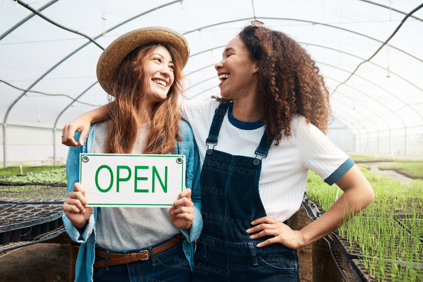 Buy stock photo Cropped shot of two attractive young woman holding an open sign while standing in a greenhouse on a farm