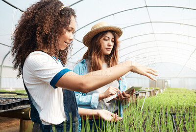 Buy stock photo Cropped shot of two attractive young women using a tablet while working in a greenhouse on a farm