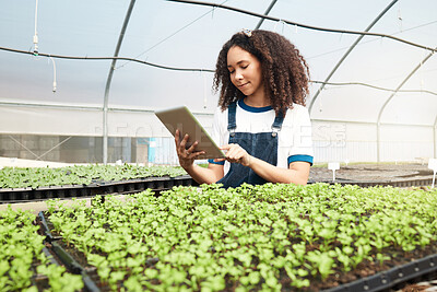 Buy stock photo Cropped shot of an attractive young woman using a tablet while working in a greenhouse on a farm