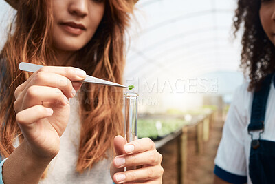 Buy stock photo Cropped shot of two attractive young women taking samples while working in a greenhouse on a farm