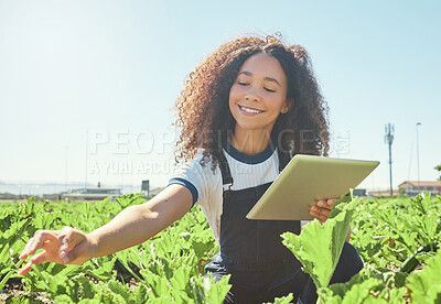 Buy stock photo Shot of a young female farmer checking her crops using a digital tablet