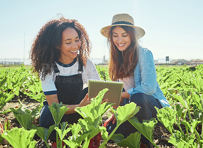 Buy stock photo Shot of two female farmers checking their crops using a digital tablet