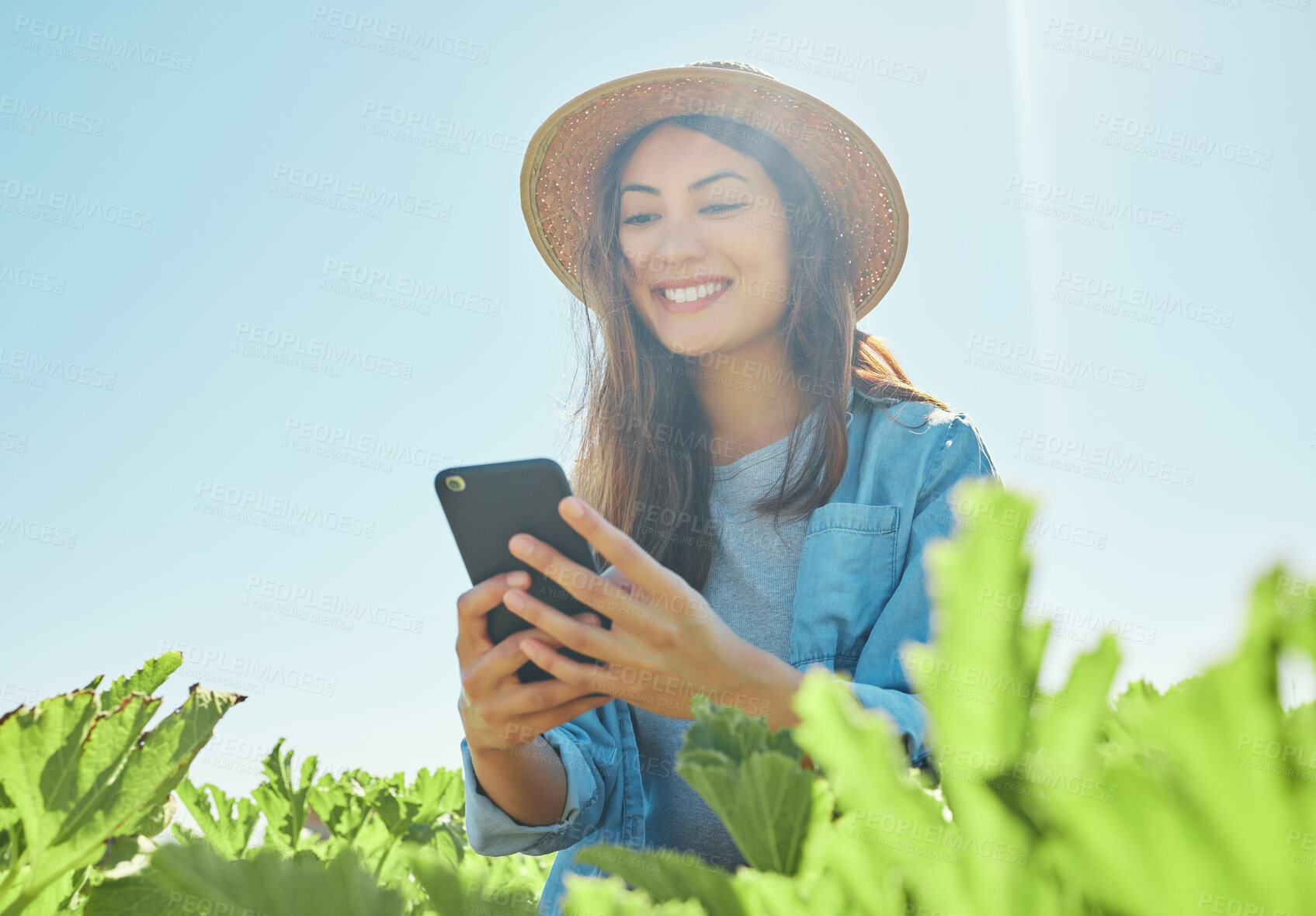 Buy stock photo Shot of a young female farmer texting while in the field