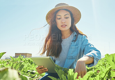 Buy stock photo Shot of a young female farmer checking her crops using a digital tablet