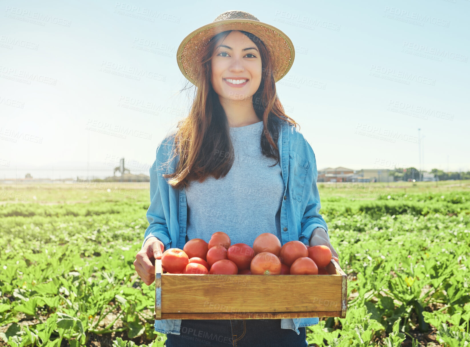 Buy stock photo Shot of a female farmer holding a crate of freshly harvested tomatoes