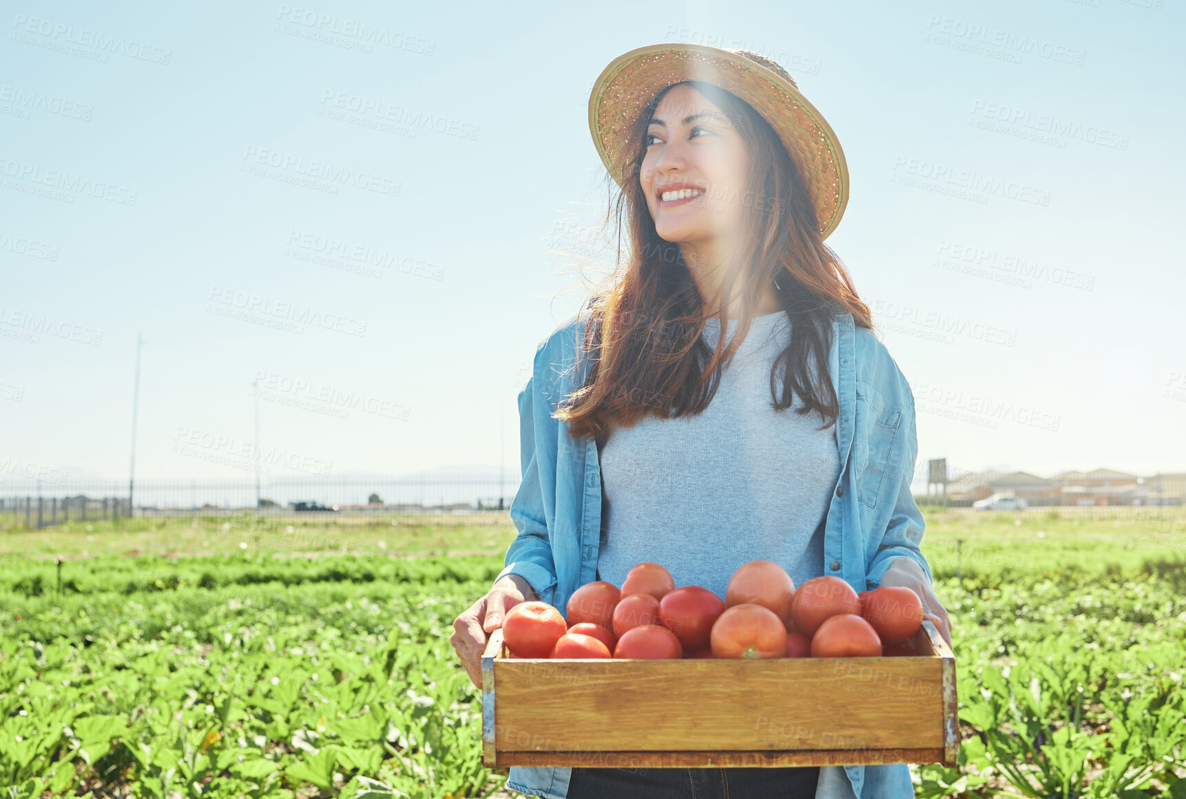 Buy stock photo Shot of a female farmer holding a crate of freshly harvested tomatoes