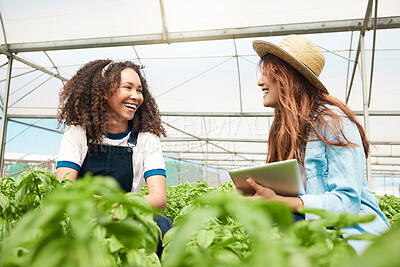 Buy stock photo People, team and tablet for farm discussion, crops production and online for inspection checklist. Collaboration, professional gardening and website for crop management, quality control and laughing