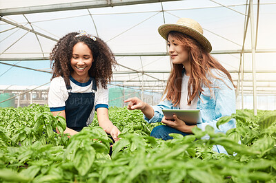 Buy stock photo Shot of two young women tending to crops while working on a farm