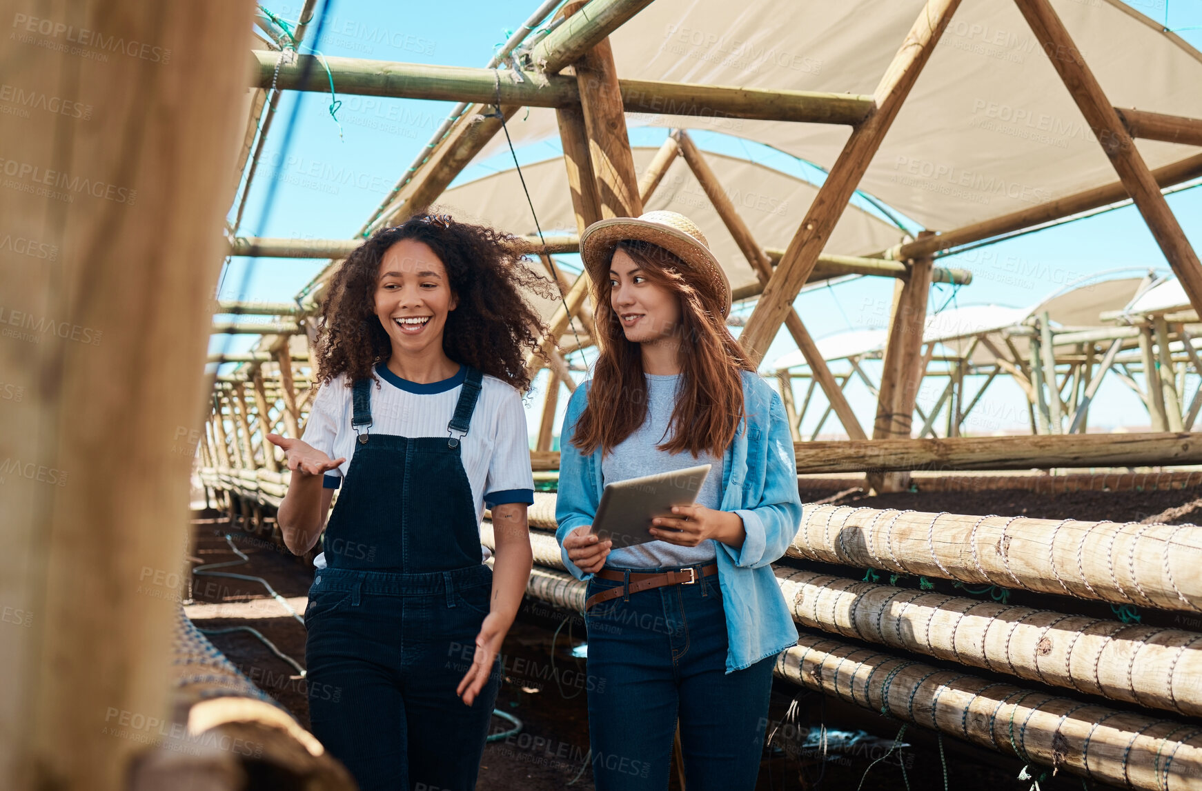 Buy stock photo Shot of two young women using a digital tablet while working together on a farm